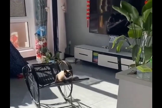 ���� ��� ������� ������ (�����)