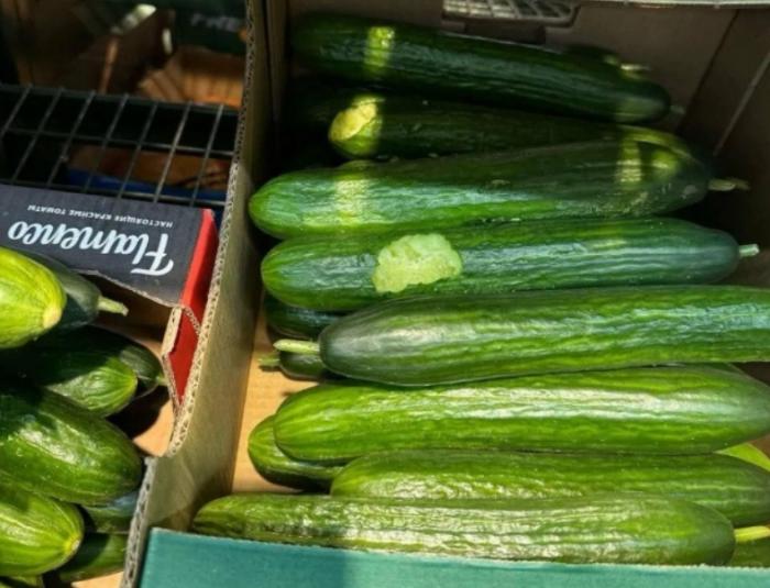 ��������� ���� � ��������� ������ (4 ����)