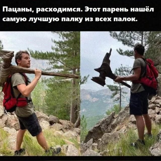 ������� ���� (15 ����)