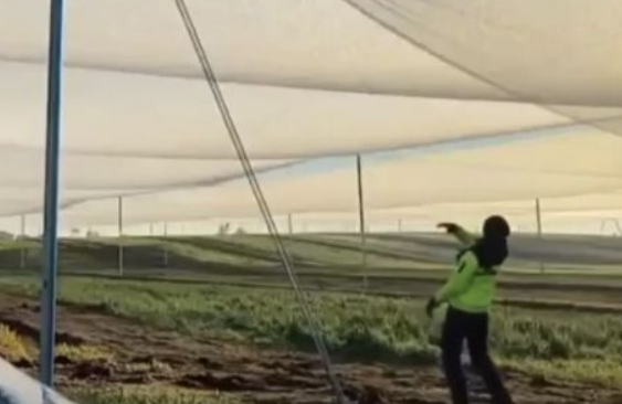 ����� ������� �����, ��������� �� ���� (�����)