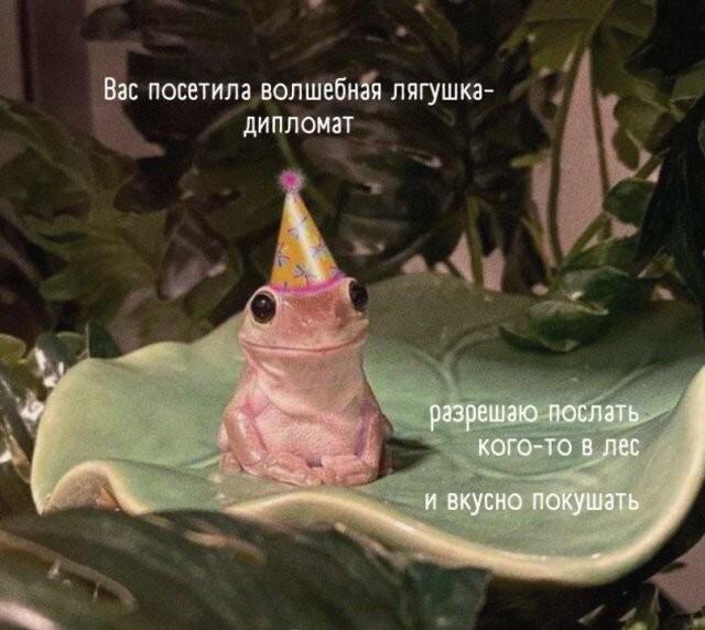 ������ ����� � ���� �� ���� (15 ����)