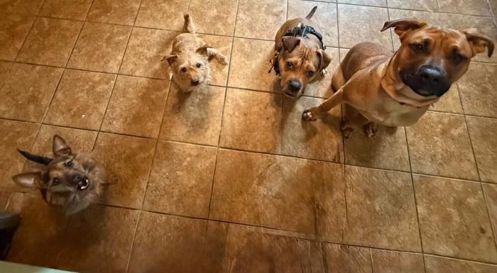 ����������� ������ � �� �������� (30 ����)