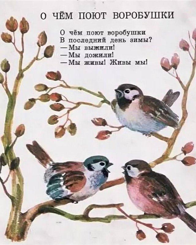 ������� �������� (15 ����)