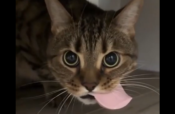 ��������� ������ (�����)