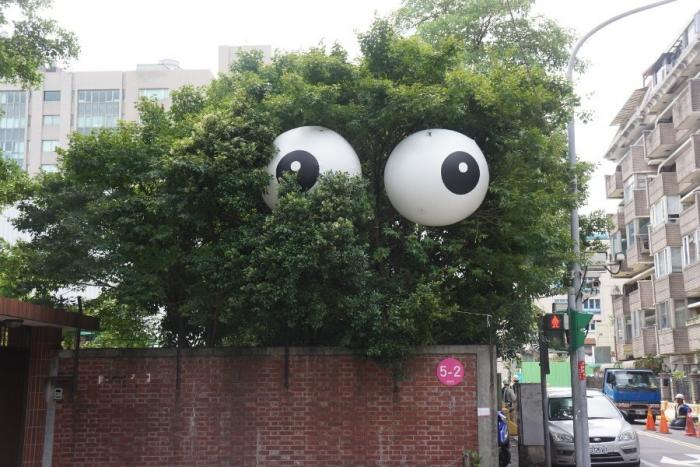 ����������� ���������� �� ������� ������� ������������ ����� ����� (20 ����)