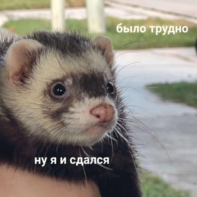 ������ ����� � ���� �� ���� (15 ����)