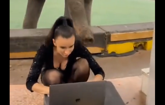 �������� ������ (�����)