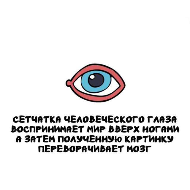 ���������� ����� �� ��� ������ ����� (15 ����)