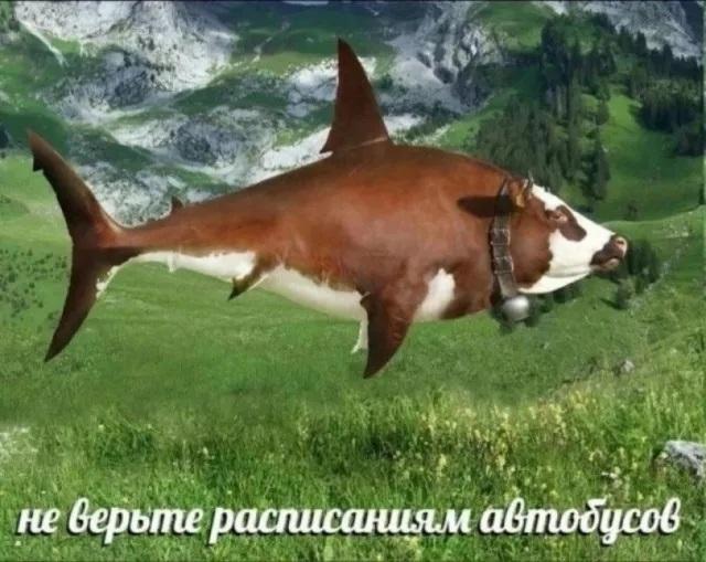 ������ ����� � ���� �� ���� (15 ����)