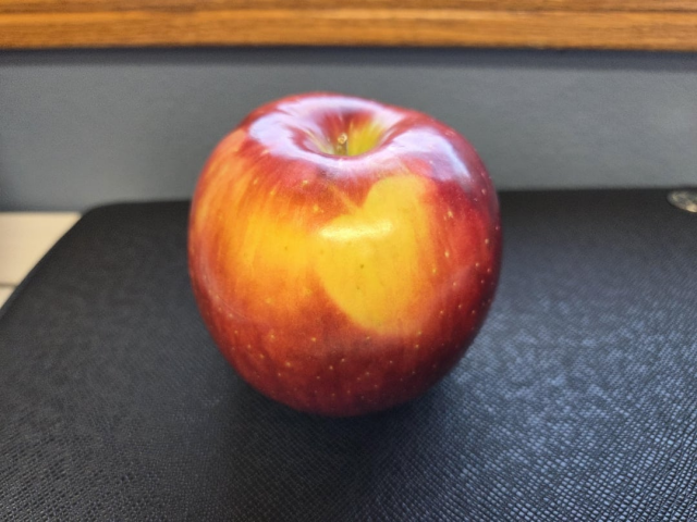 ������, ����� ���������� ��� ������ ����� ������� �������������� (11 ����)