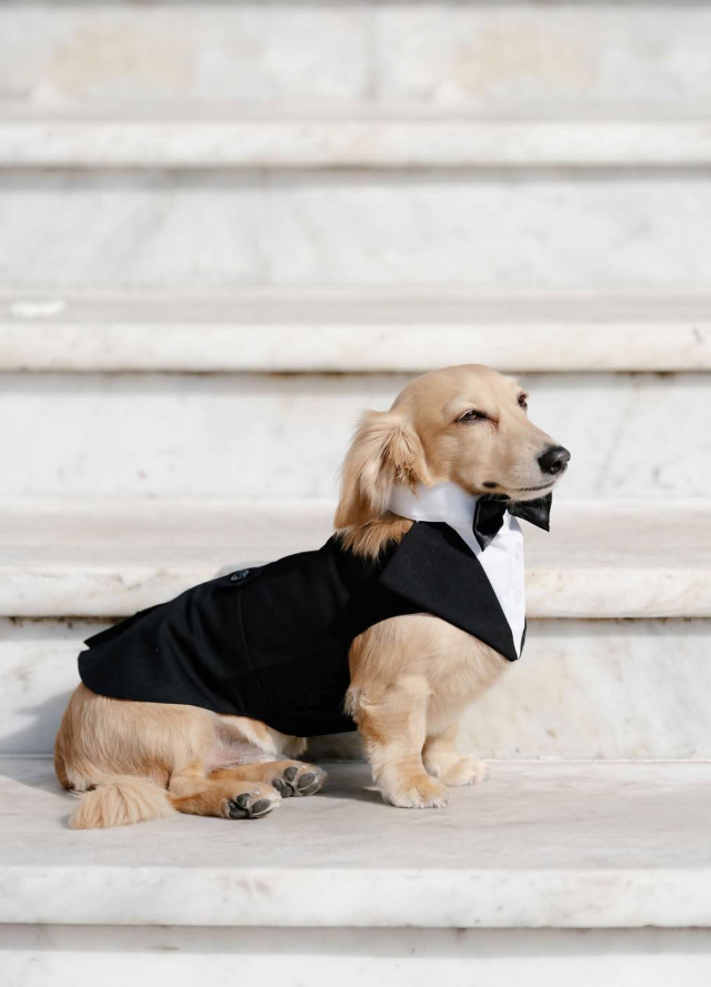 ������� ����� �� ������� ����������� ������� "�������-1" ����� ������� (10 ����)