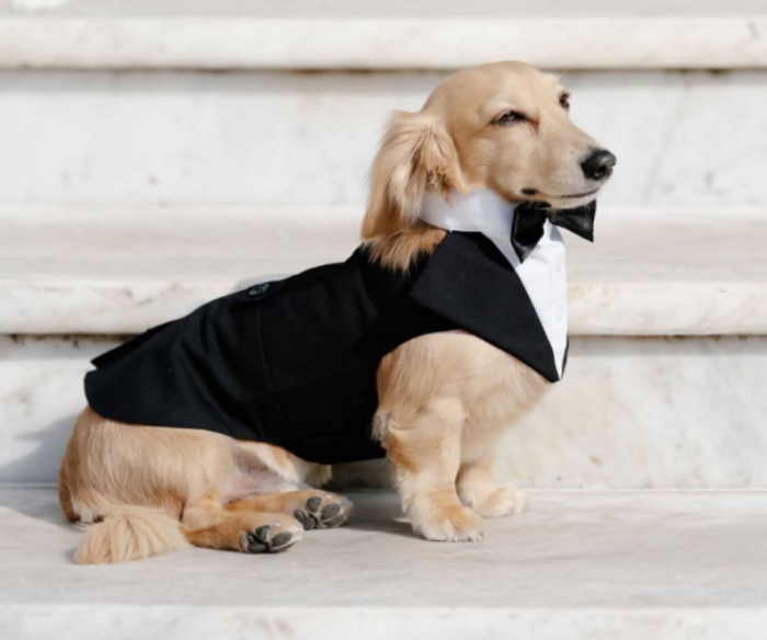 ������� ����� �� ������� ����������� ������� "�������-1" ����� ������� (10 ����)