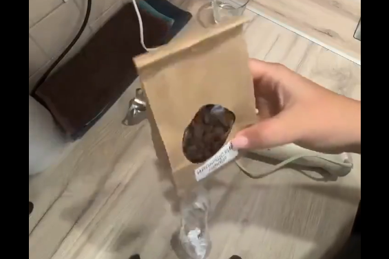 ���������� ���� (�����)