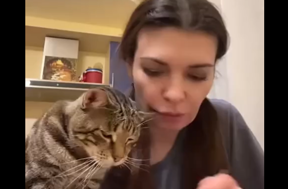 ������� ������� ������� (�����)