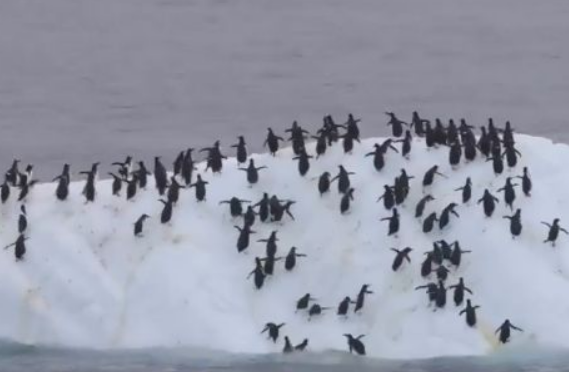 ��������� ������� ���� ��������� ��������� �� ���������� ������ � ���������� (�����)