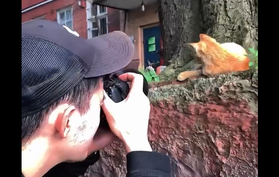 �������� ��������� (�����)