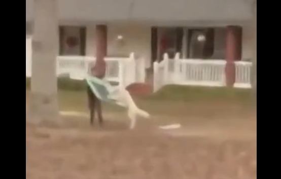 ���� - ��� (�����)