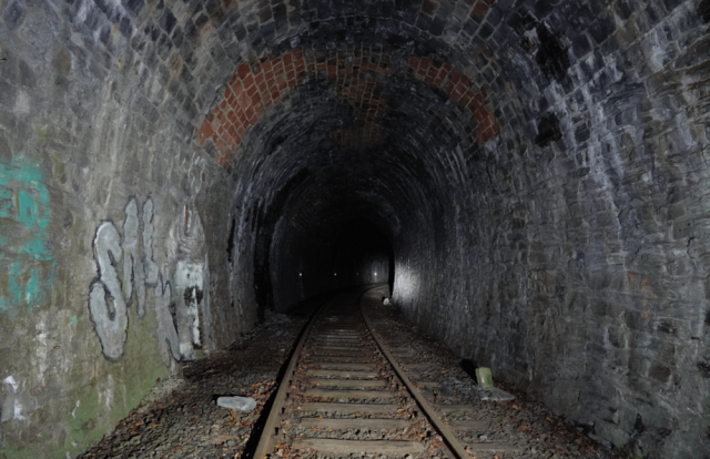 �������� ����������� �������� (20 ����)