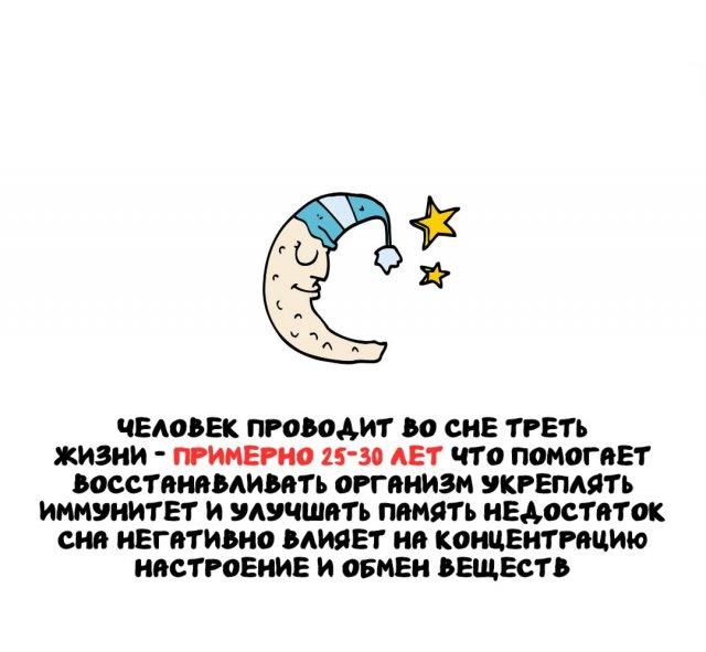 ���������� ����� �� ��� ������ ����� (15 ����)