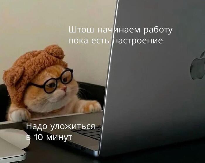 ������� �������� (15 ����)