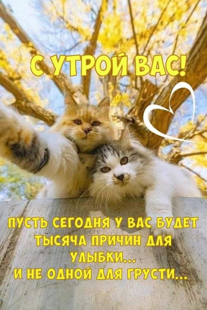 �������� ���������� ���� �3903 (30 ����)