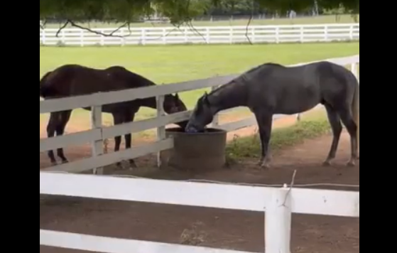 ��������� �� ������� (�����)