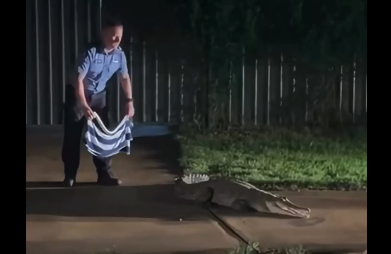 �������� (�����)