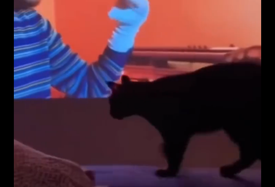 ����� ���������� (�����)