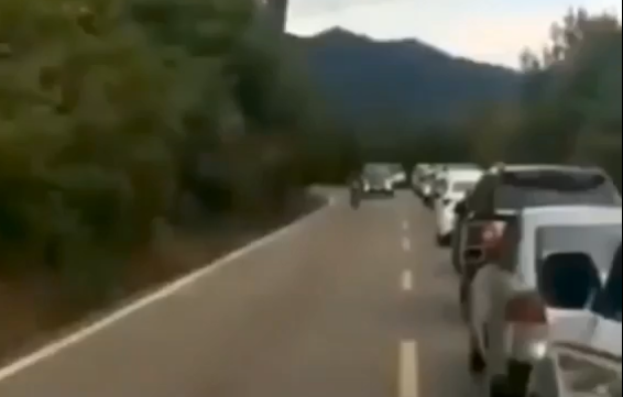 ��� ��������� �������� ������� (�����)