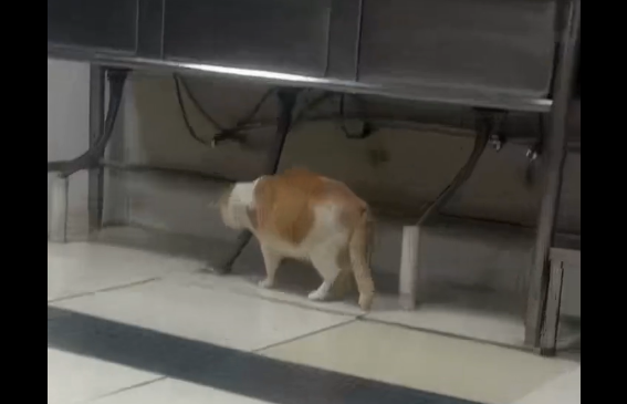 ����� �� ������ � ������ (�����)