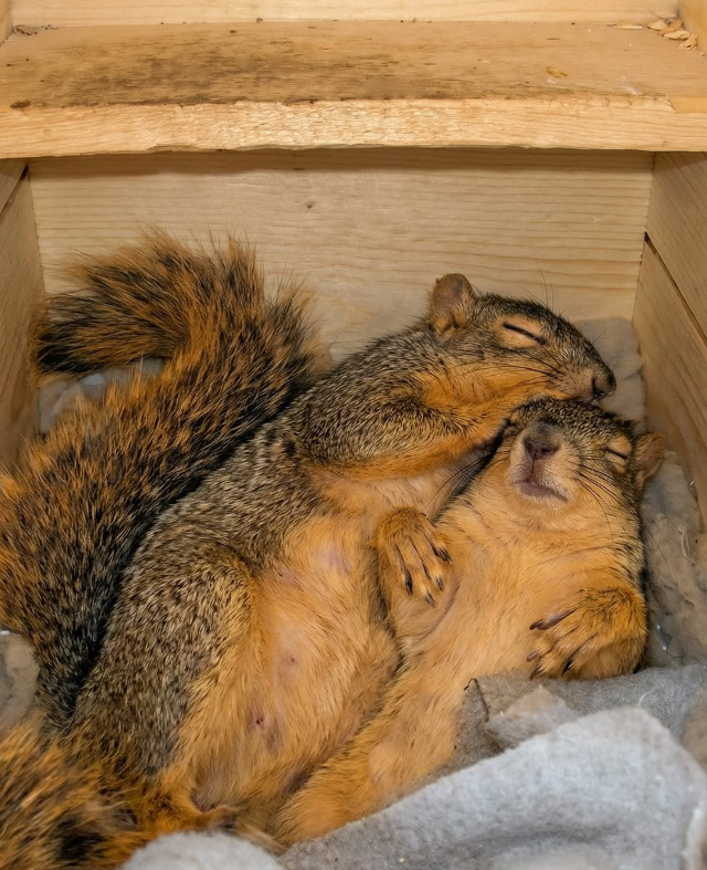 ��� ���� �����? (9 ����)