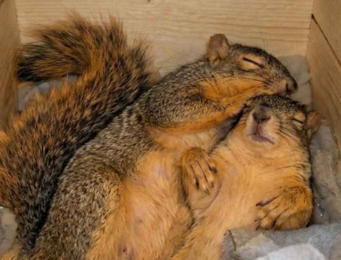 ��� ���� �����? (9 ����)