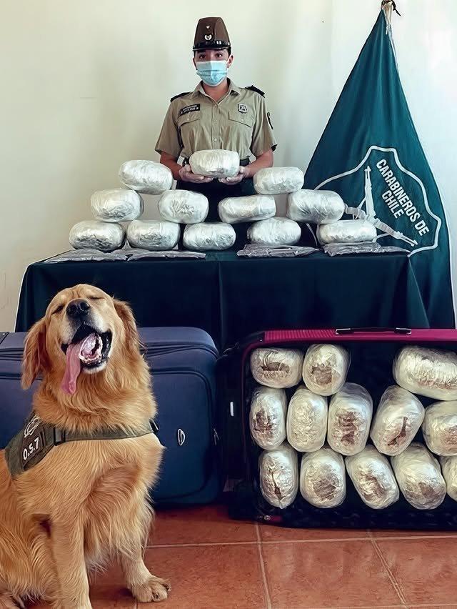 ����������� ������ ���������� ������ ��������� (11 ����)