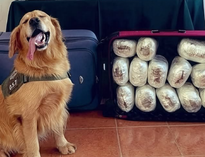 ����������� ������ ���������� ������ ��������� (11 ����)