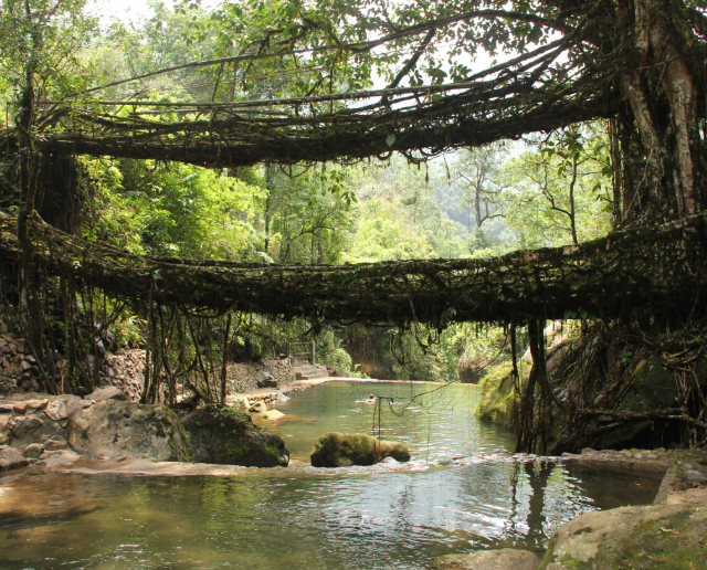 �������� ����� � ����� (6 ����)