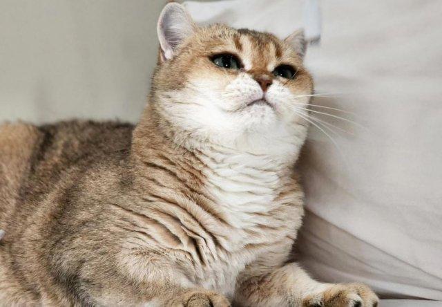 ������� � ������ ��������� ������� (6 ����)