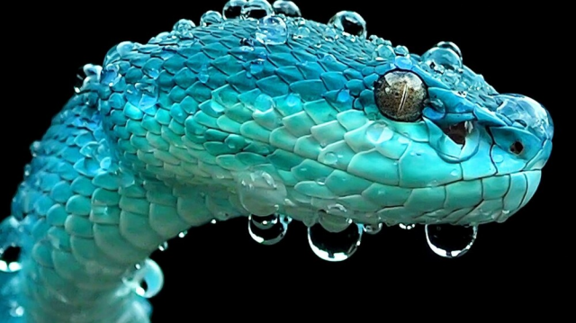 ���������� ���������� �� ����� "���" (25 ����)