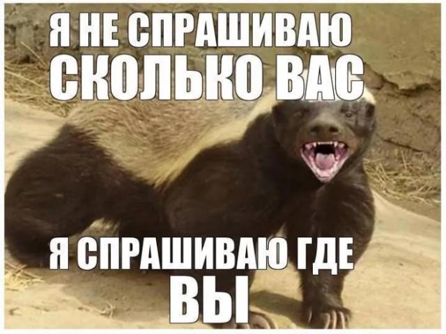 ������� �������� (15 ����)