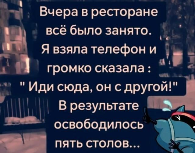 ������� ���� (15 ����)