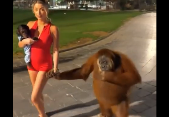 ���� ���������� � ��� ����� (�����)