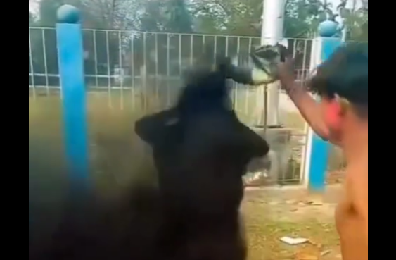 ��������������� �������� (�����)