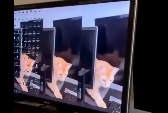 �� ������ �� ���� ���� �����-�� ����������� � ����� (�����)