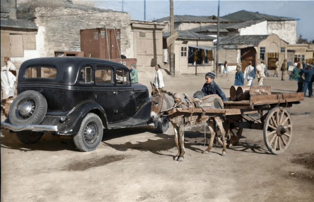 ���������� � �������� ���������� ������ ���� (20 ����)