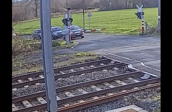 � ���� �������� ���� (�����)