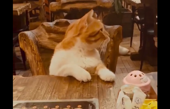 �������� ��� ������� � ���� � �������� (�����)