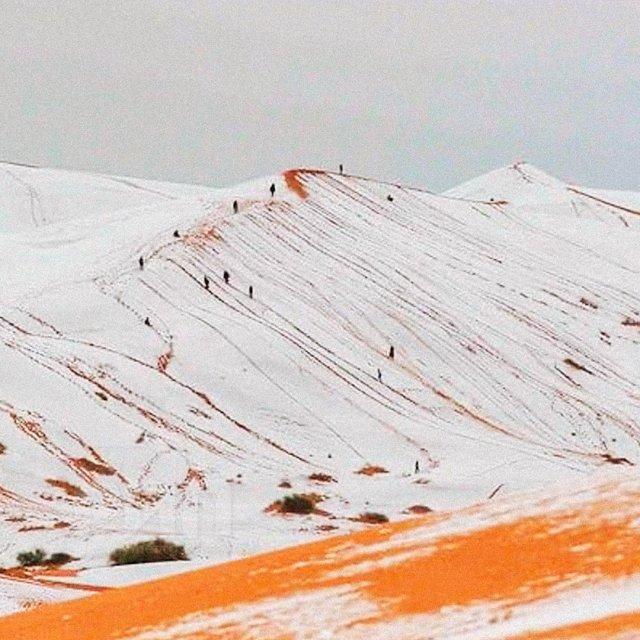 ������� ������ ������� ������ (5 ����)