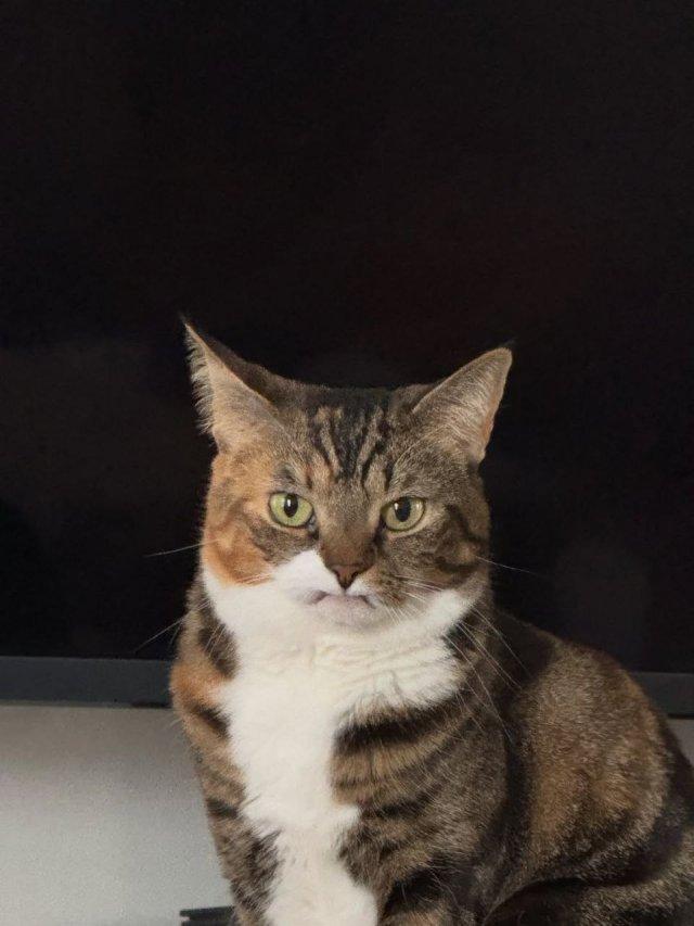 �����������, �� ����� ��� �� ������ �������� (9 ����)