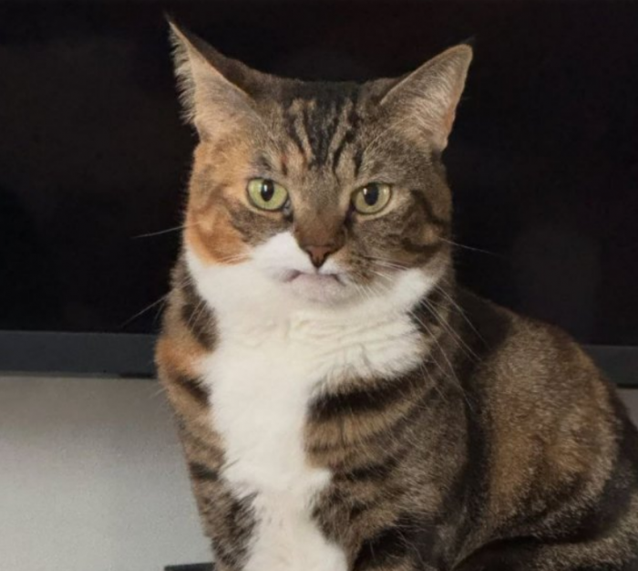 �����������, �� ����� ��� �� ������ �������� (9 ����)