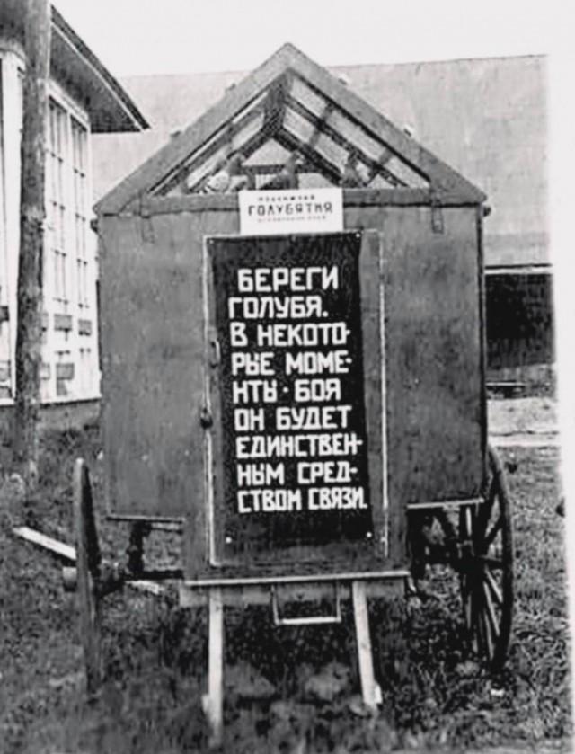 �������� ���������� ���� �3907 (30 ����)