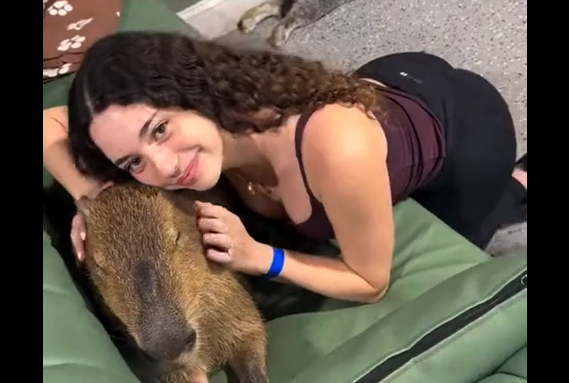 �������� � �� ��������! (�����)